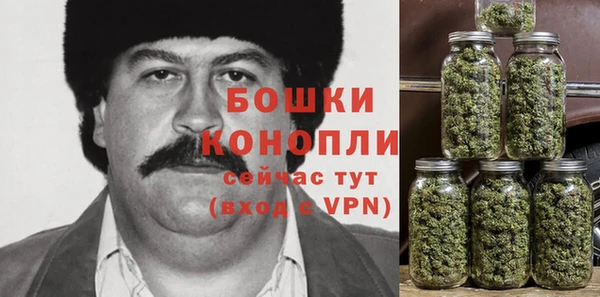 эйфоретик Белокуриха