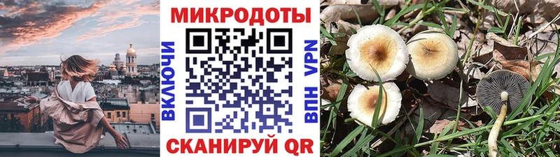 продажа наркотиков  Бобров  Псилоцибиновые грибы Cubensis 
